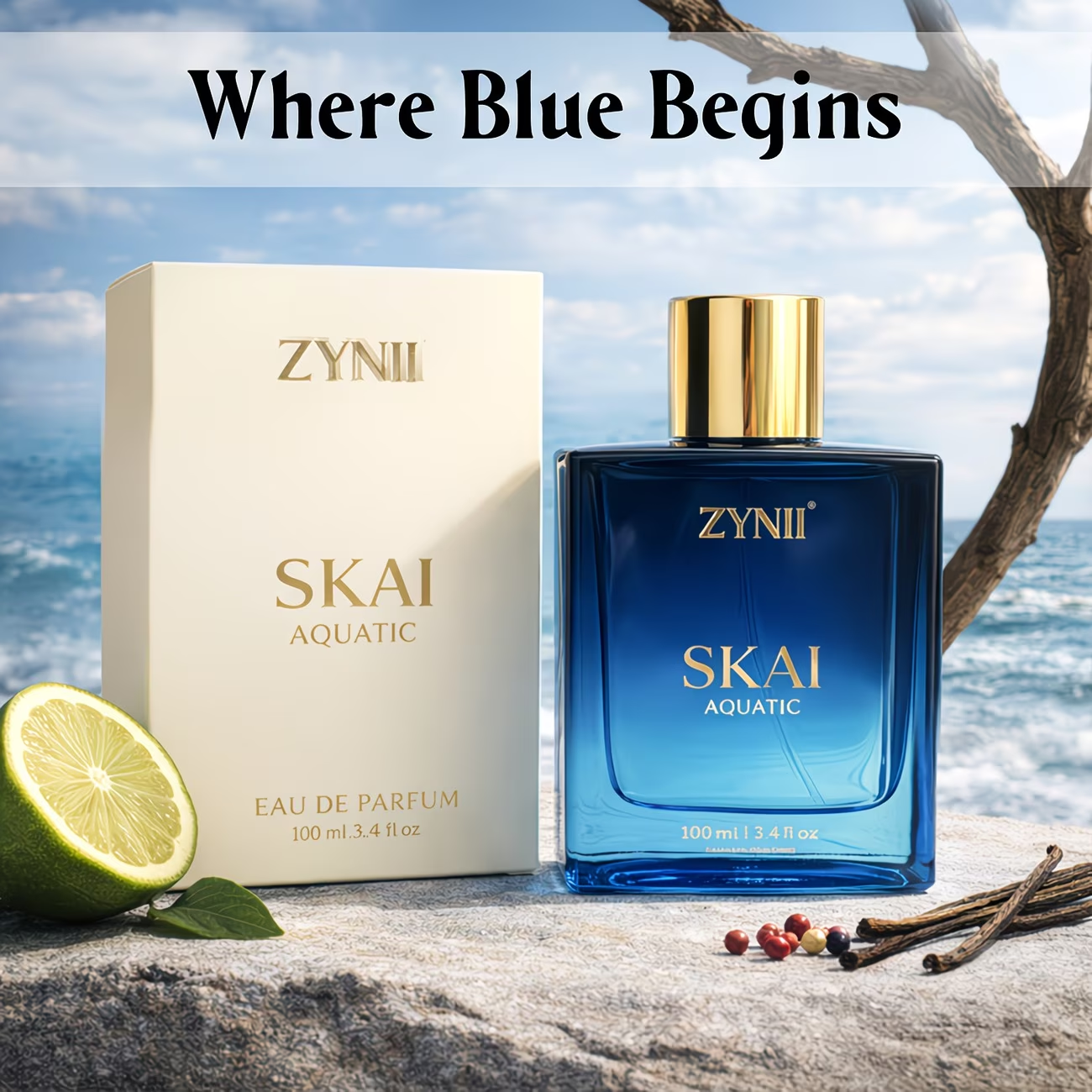 100ml Men’s Aquatic Perfume Sp - Fragrance Perfume Spray ulasan dan harga