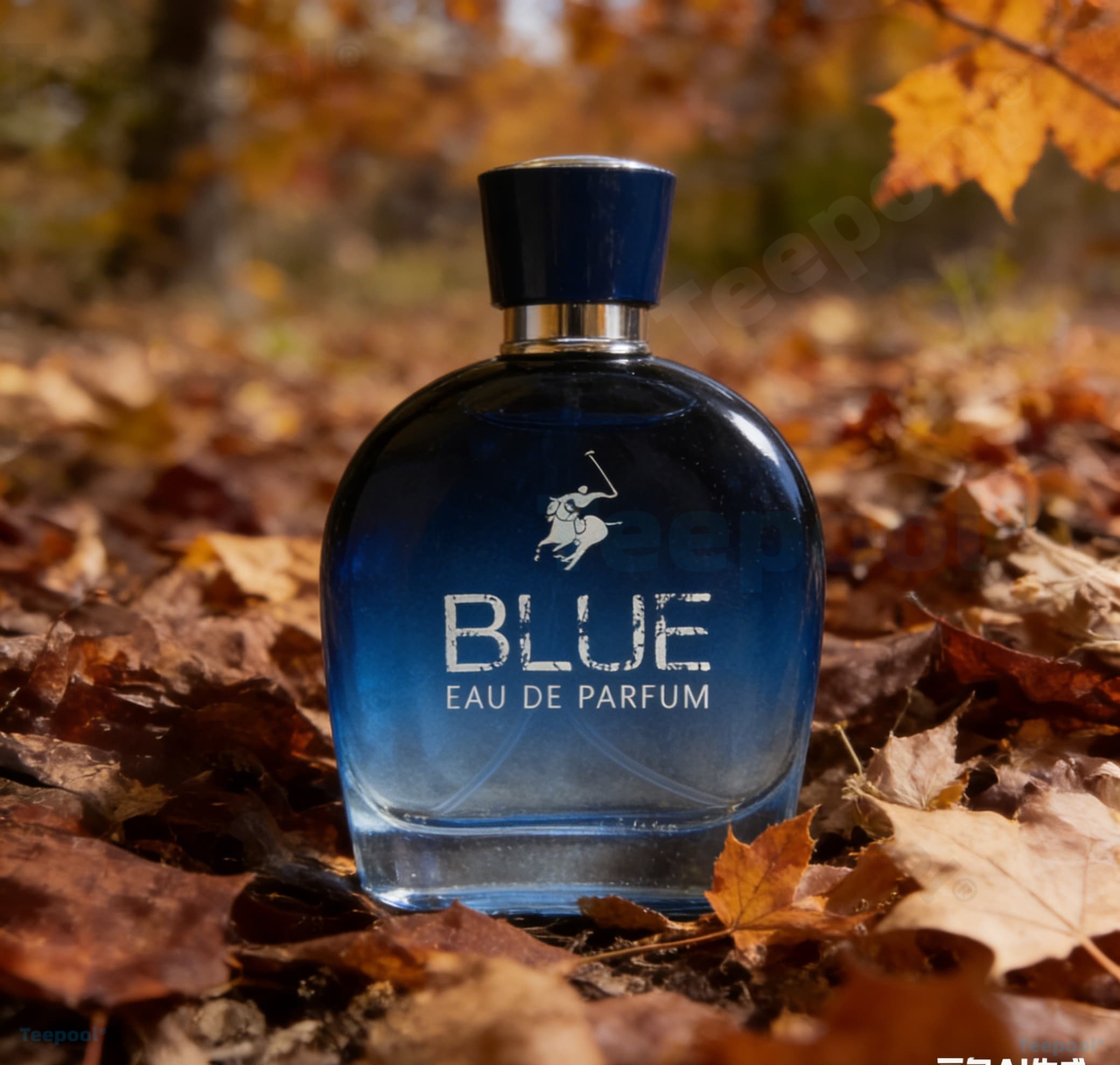 perfume/fragrance，Glamour Men  - Fragrance Perfume Spray ulasan dan harga