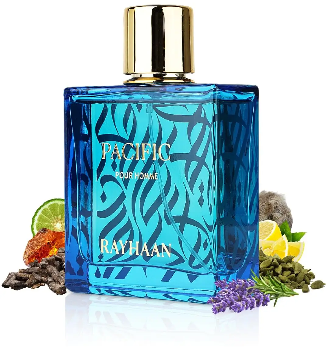 RayHaan Fresh Wave Citrus Aqua - Perfume Aqua Fragrance ulasan dan harga