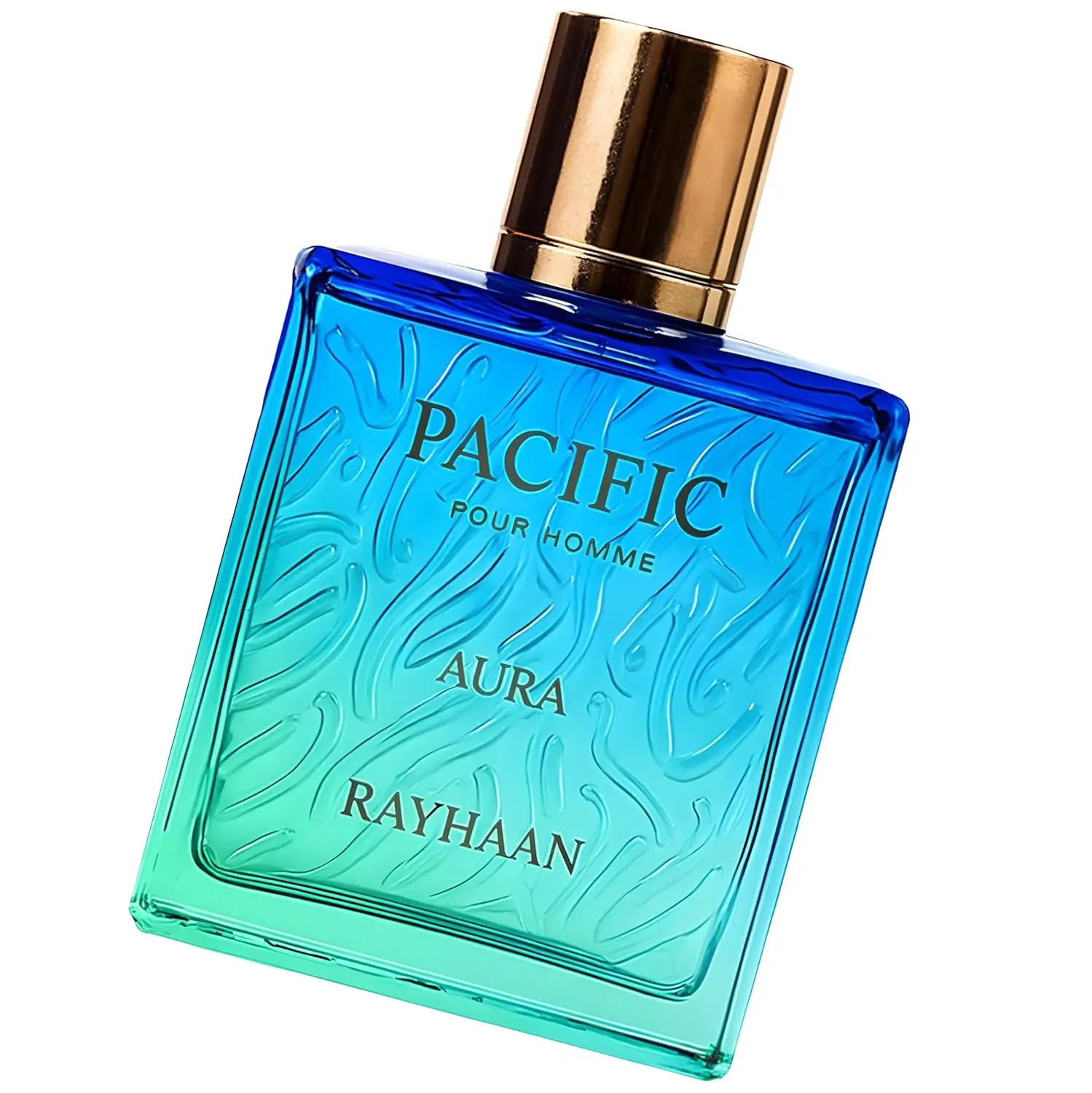 RayHaan Fresh Wave Citrus Aqua - Perfume Aqua Fragrance ulasan dan harga