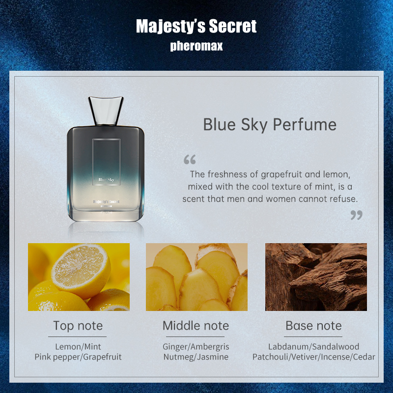 MEN'S FRAGRANCE 100ML WOODY NO - Perfume Aqua Fragrance ulasan dan harga