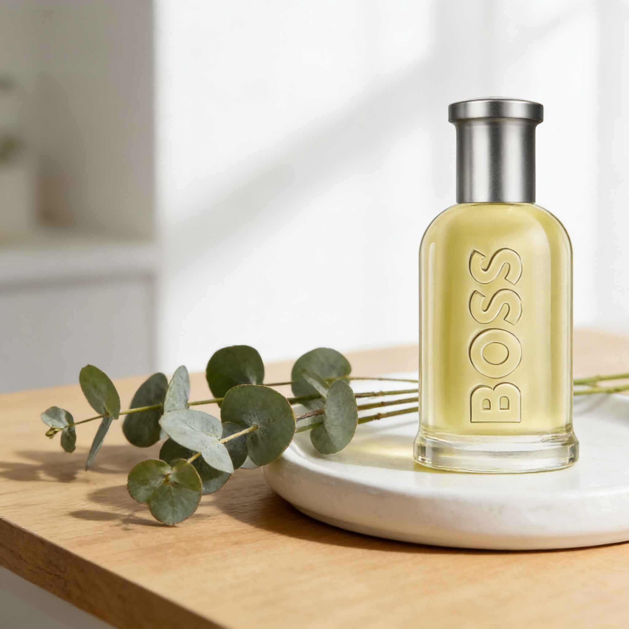 Hugo Boss Bottled Eau de Toile - Perfume Fragrance Man ulasan dan harga